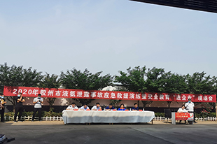 1594800226310942.jpg 55.jpg