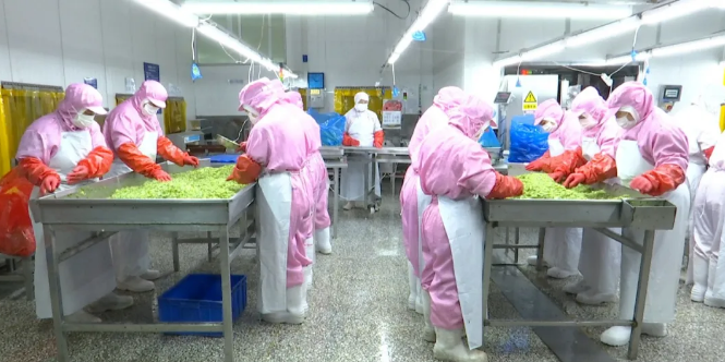 1626923032542904.png image.png